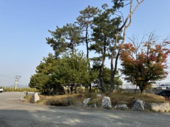 수목