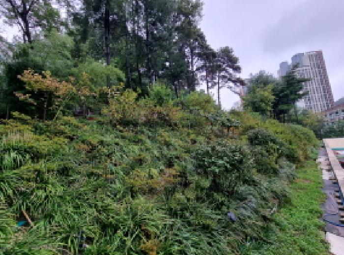 목록1 북쪽 경계선 모습(법면)