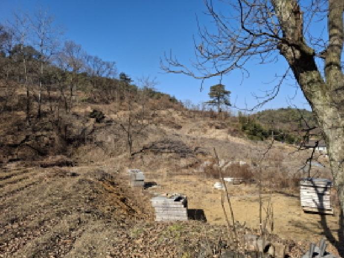 목록5 토지 모습3
