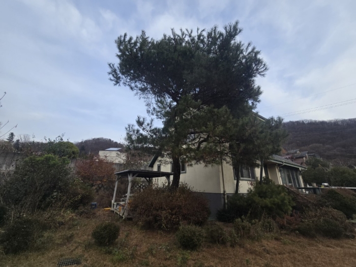 본 건물 전경