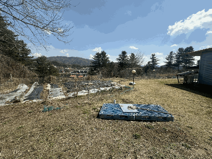 본건 전경(기호1)