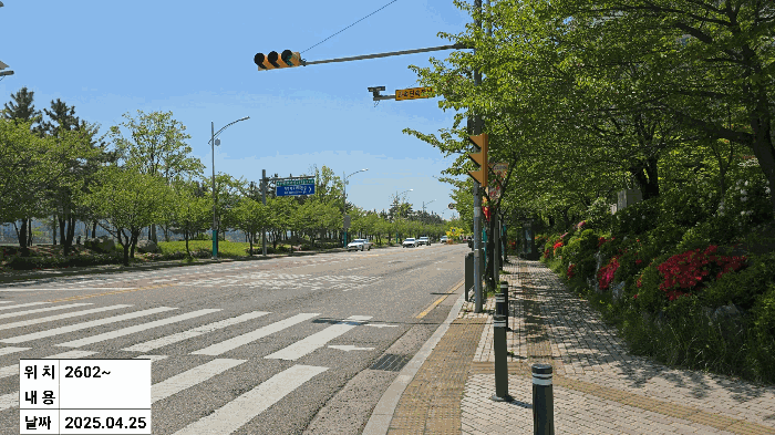 남동측 도로 전경