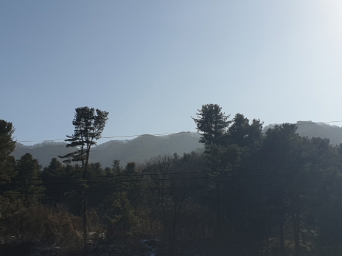 본 건 토지 전경