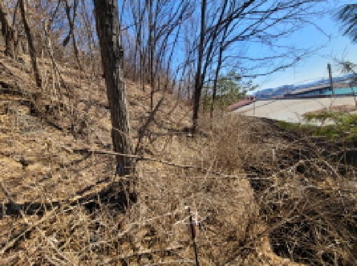 목록 2. 토지 일부 모습(건물 뒤편)