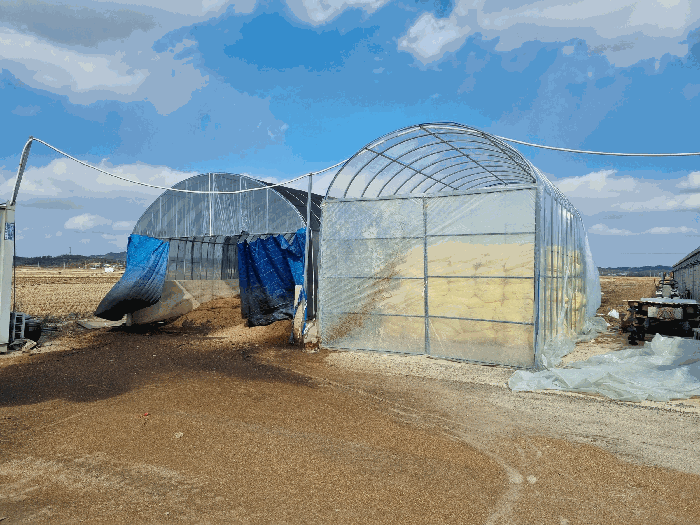 [제시외건물 ㄷ 및 비닐하우스]