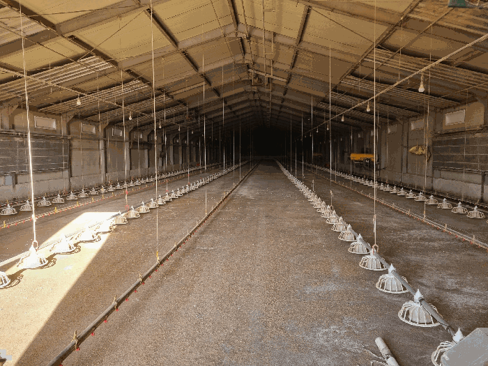 [기계기구 1-1), 1-2)]