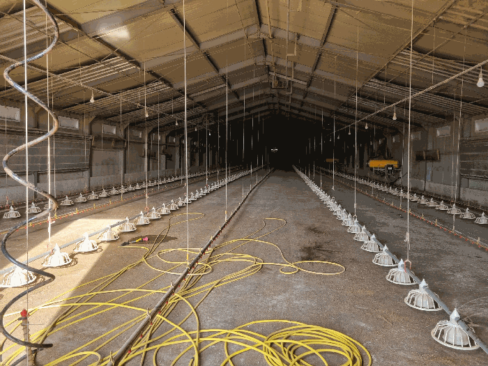 [기계기구 1-1), 1-2)]