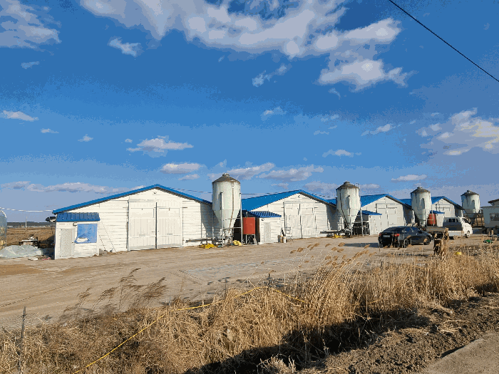 [본건 건물 전경]