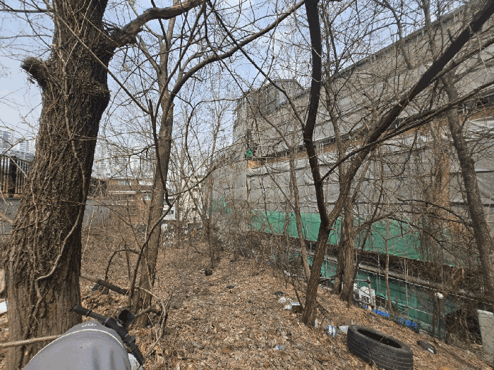 본건 전경