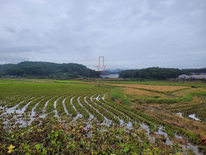 기좌리 인근지역