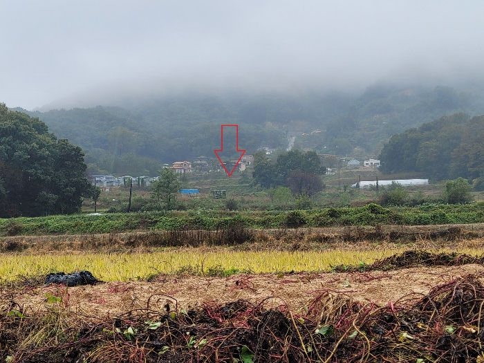 진촌리 본건 인