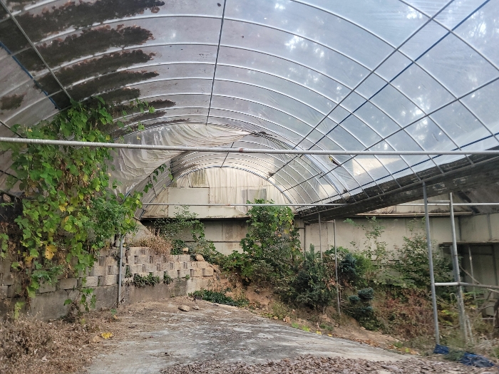 제시외건물(ㄱ)