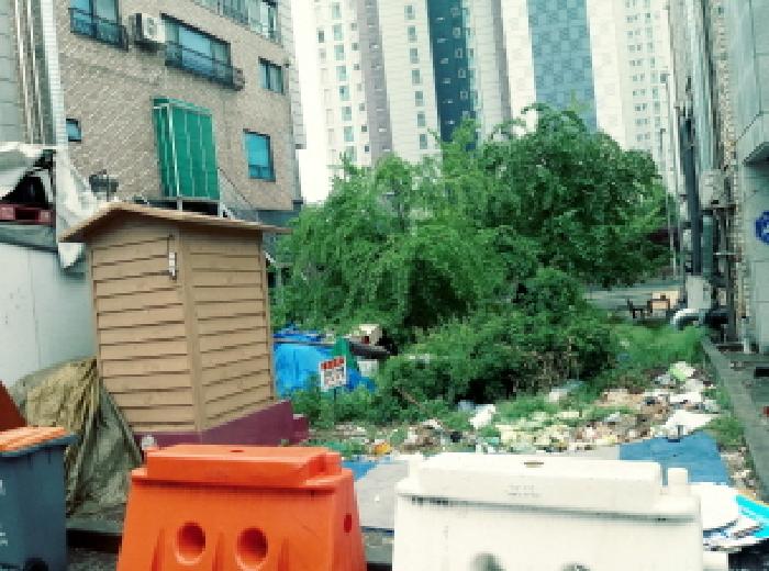 * 지상 전경