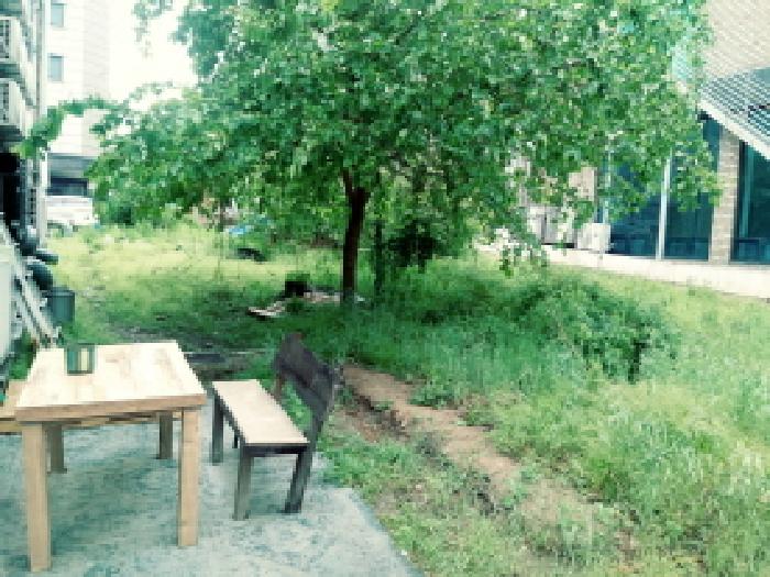 * 지상 전경