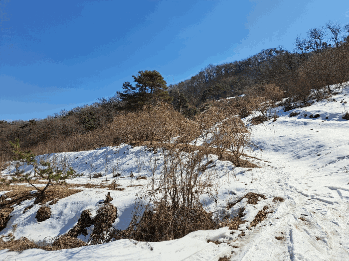대상물건9 10