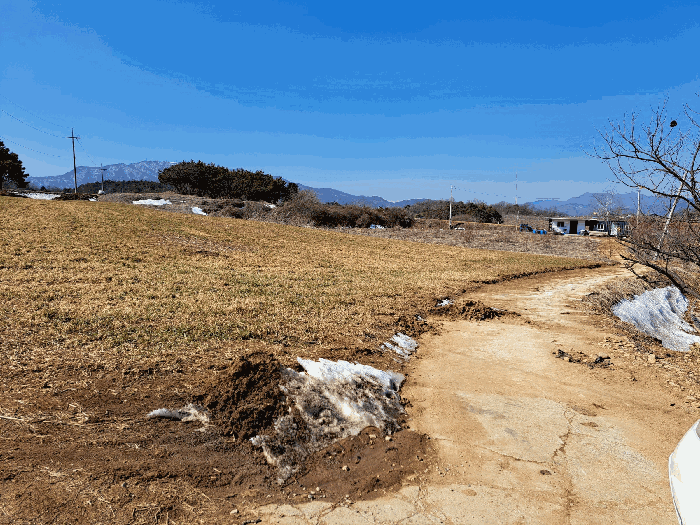 대상물건11 주