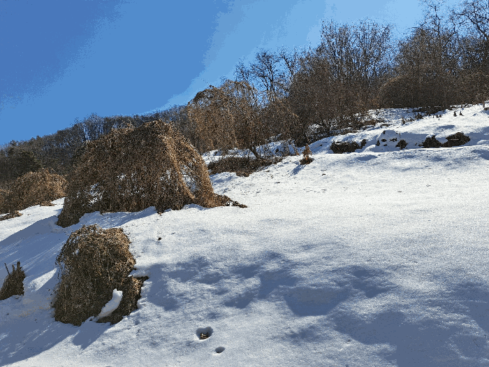 대상물건10