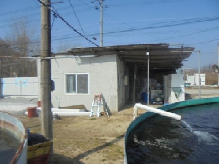 목적물 2번에
