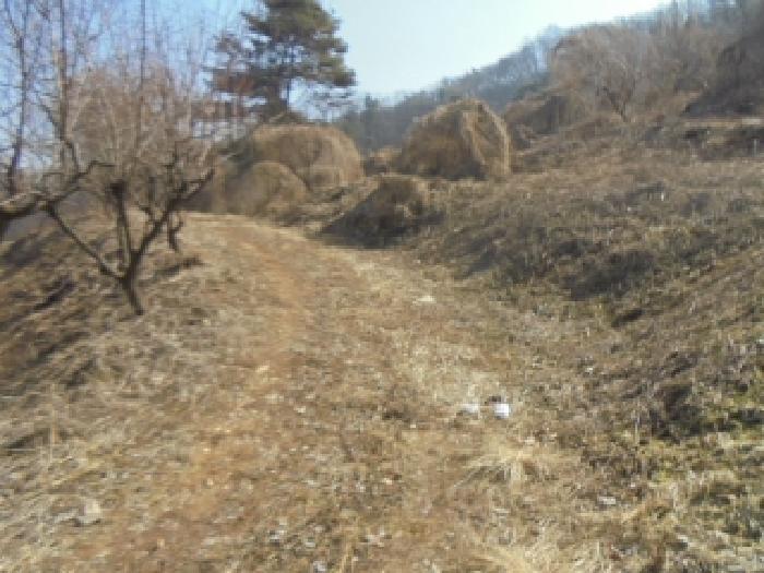 목적물 10번