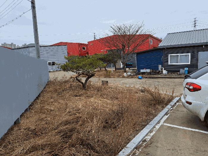 토지에 포함 평가하는 수목 등