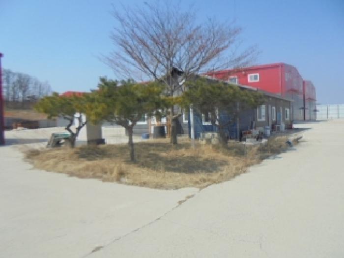 목적물 12번에 조경수