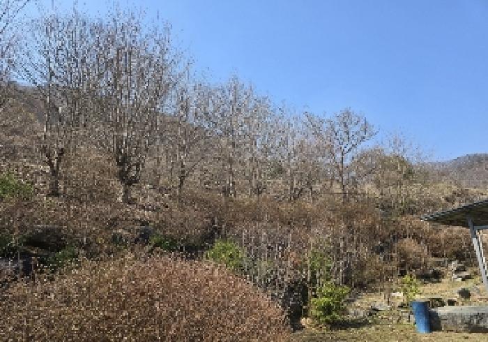 목적물 4번