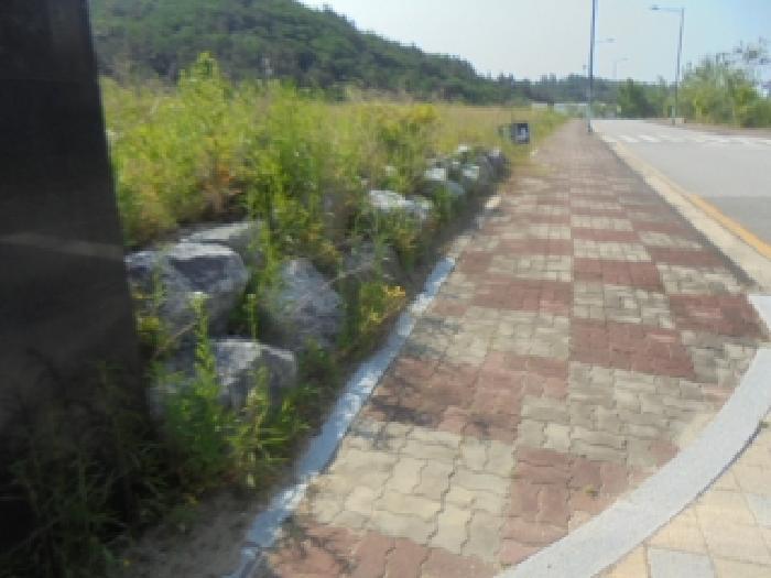 목적물 4번