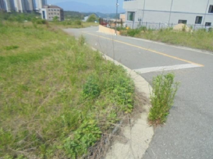 목적물 1번