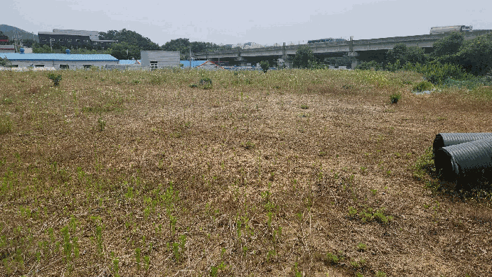대상물건 전경