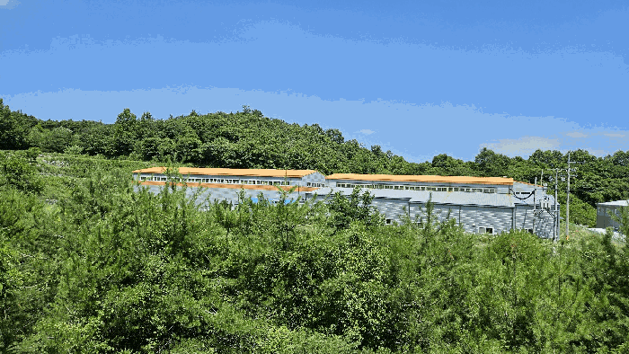 본건 토지 사진