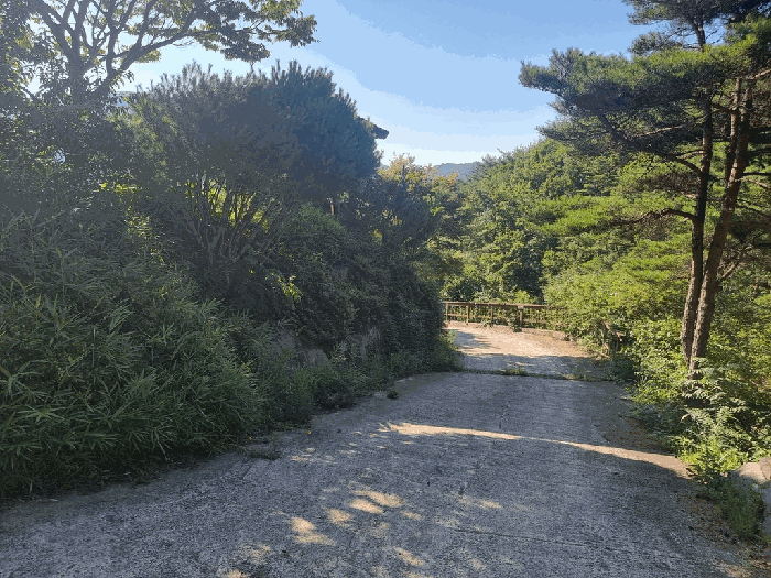 일련번호(5) 일부 전경