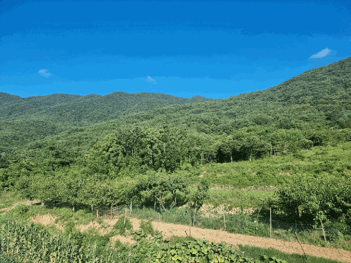 일련번호(2) 전경