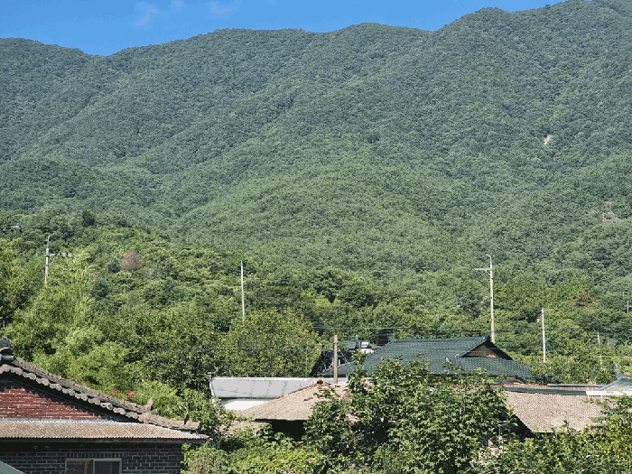 일련번호(2) 전경