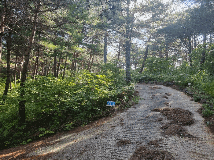 일련번호(2) 일부 전경