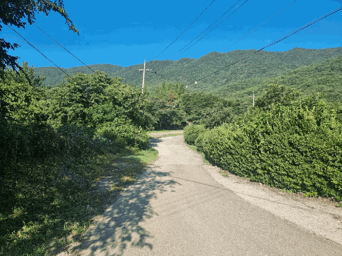 일련번호(3) 전경