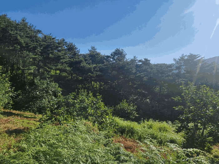 일련번호(1) 일부 전경