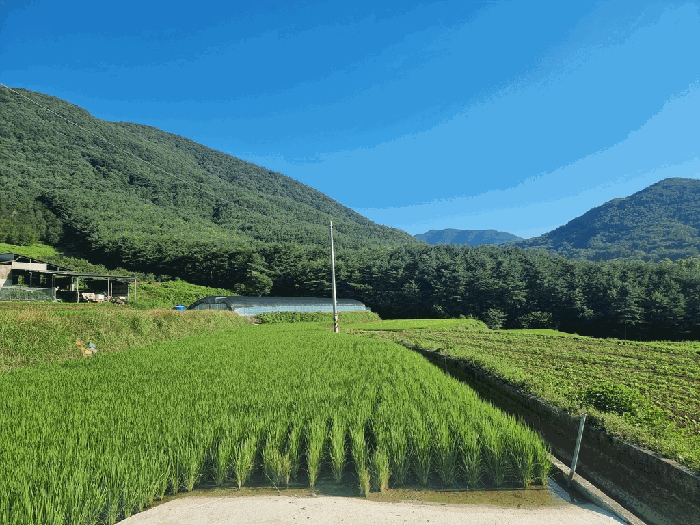일련번호(1) 전경