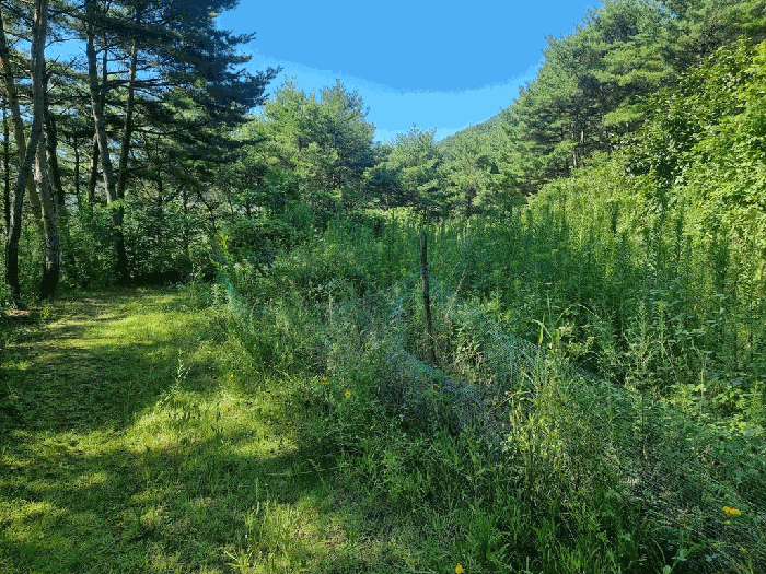 일련번호(2) 일부 전경