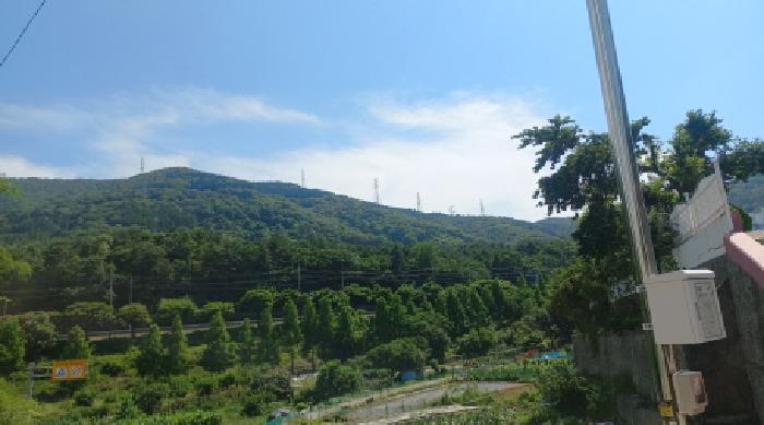 본건 토지