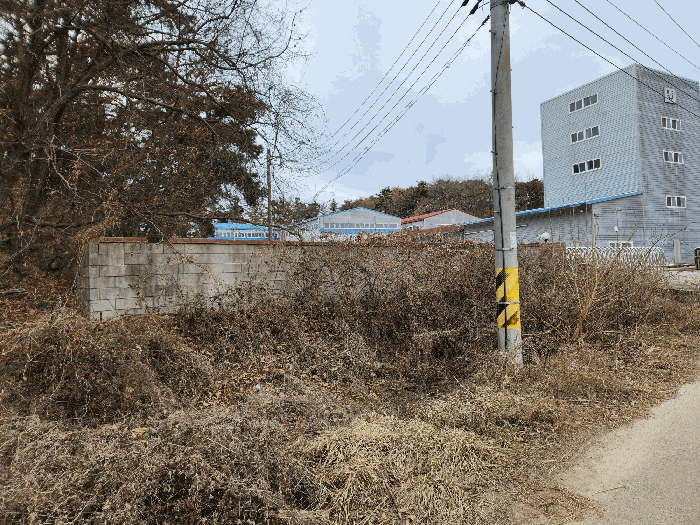 본건 토지 전경