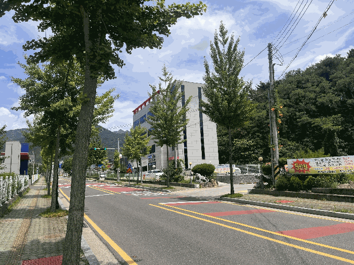 【 본 건 원