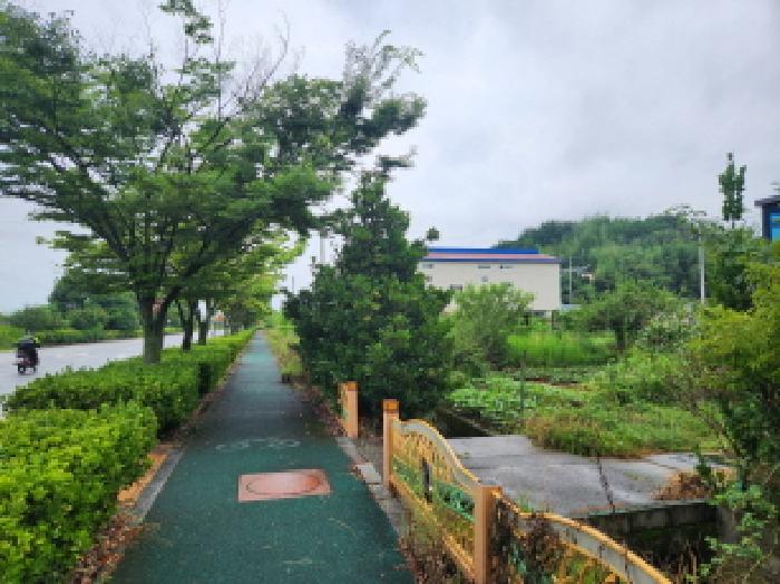 본건 전경(인도 우측)