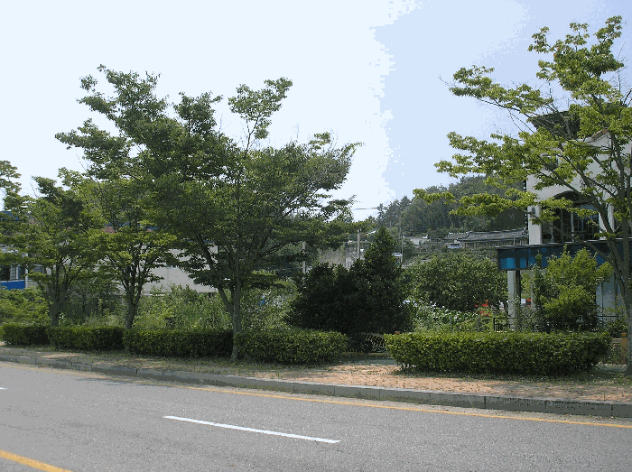 본건 북동측 인근 촬영