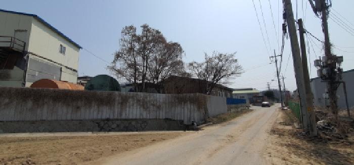 본건 토지 및 건물을 진입로쪽 도로와의 경계 쪽에서 본 모습