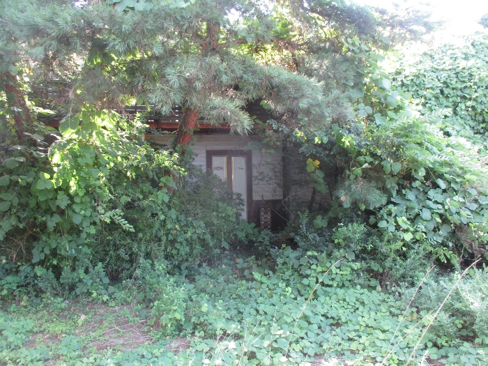 본건 전경
