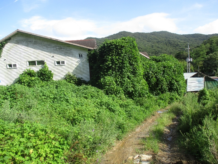 본건 전경