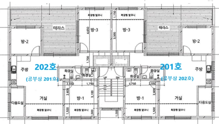 건 물 개 황 도(2층)