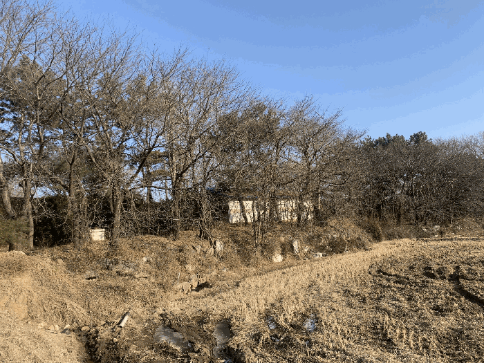 일련번호(2) 전경