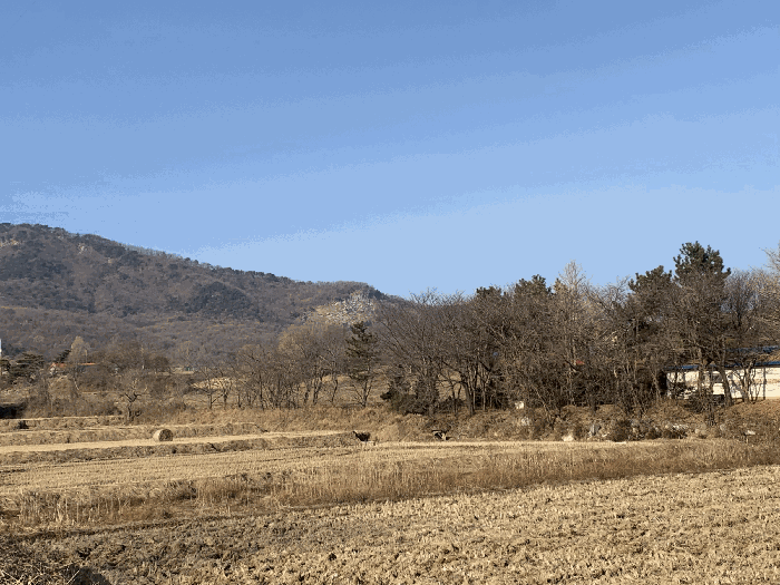 일련번호(1) 전경