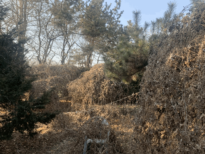 일련번호(1) 남측